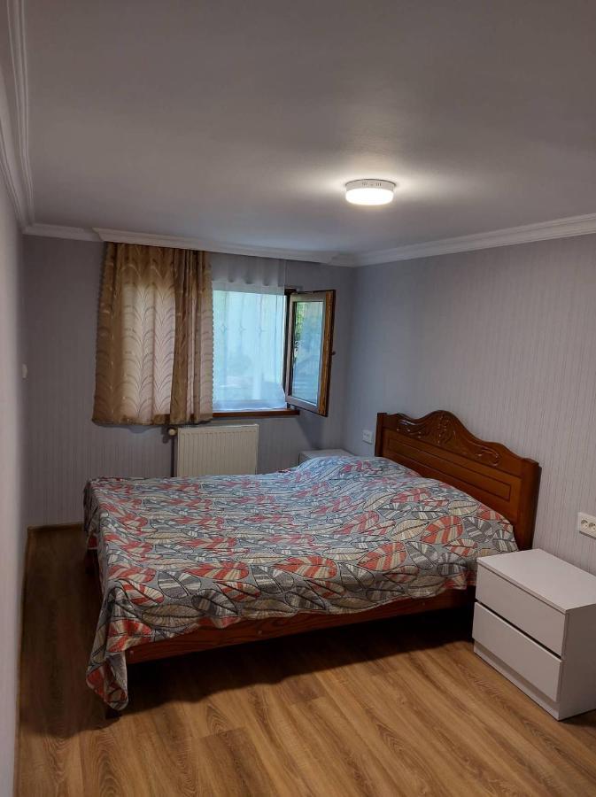 Davids Entire Place Borjomi Ngoại thất bức ảnh